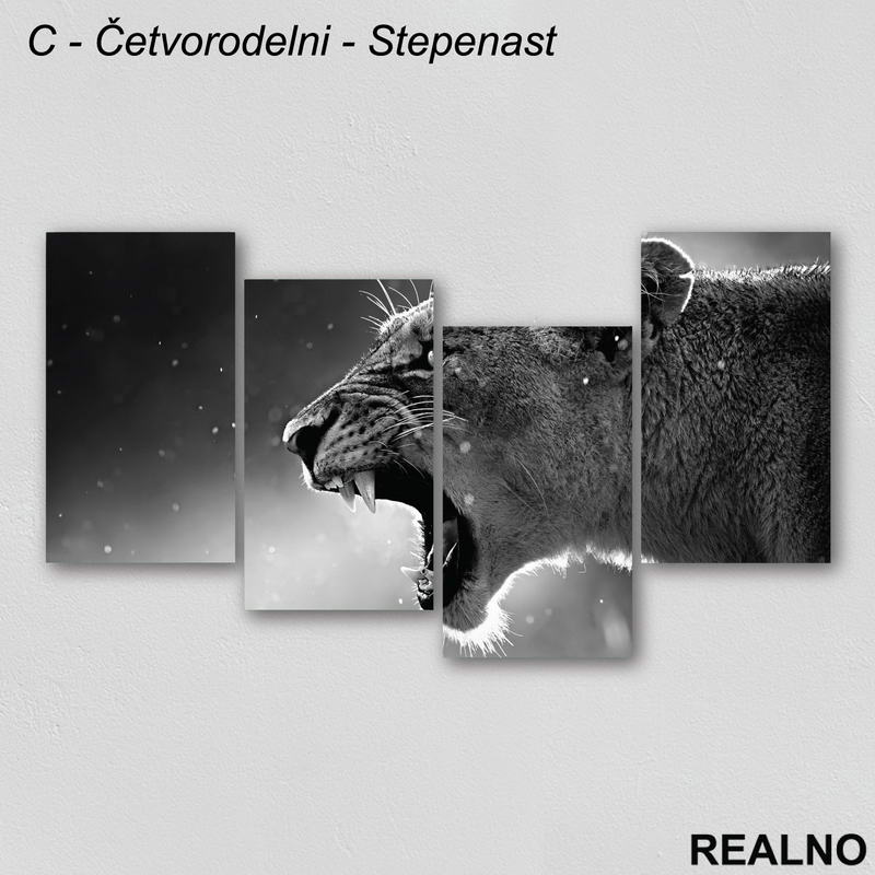 Lavica - Crno-bela fotografija - Slika na platnu - Kanvas