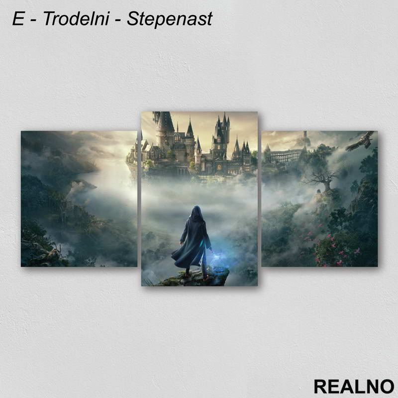 Škola - Harry Potter - Slika na platnu - Kanvas