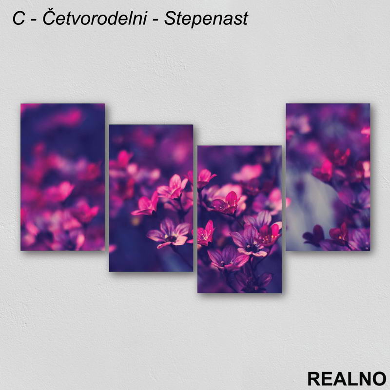 Ljubičasto - roze cveće sa zamućenom pozadinom - Slika na platnu - Kanvas