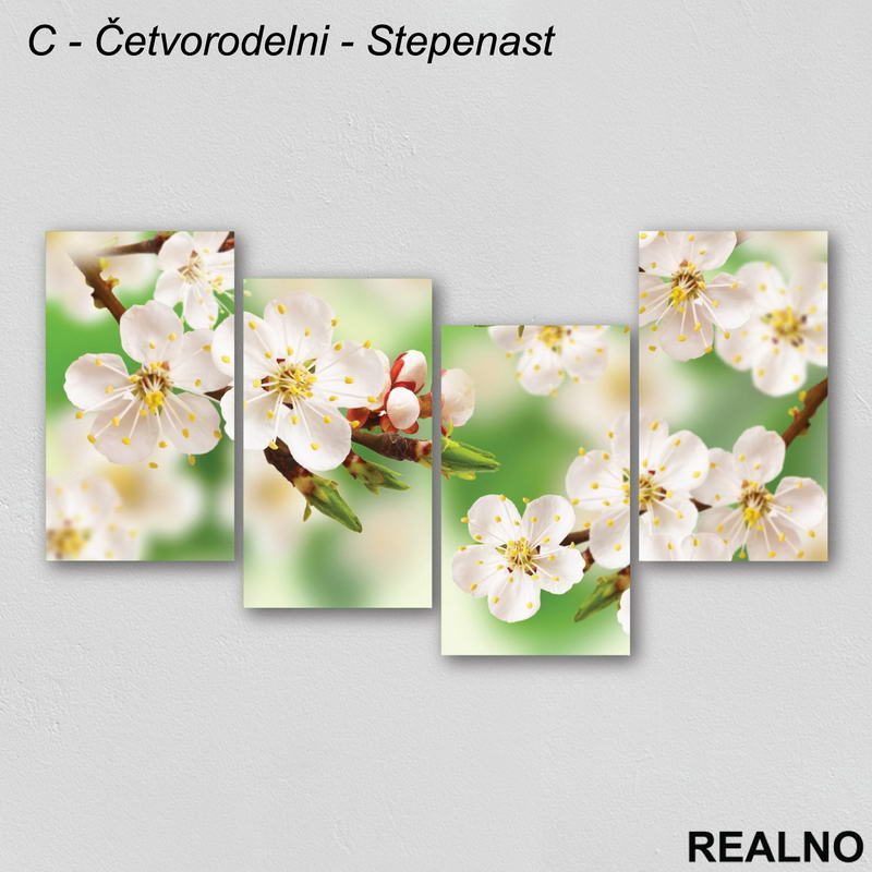 Belo cveće - Slika na platnu - Kanvas