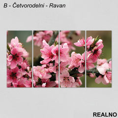 Roze cveće - Slika na platnu - Kanvas