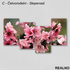 Roze cveće - Slika na platnu - Kanvas