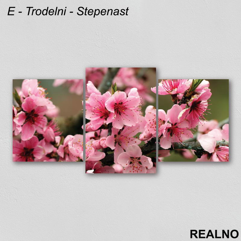 Roze cveće - Slika na platnu - Kanvas
