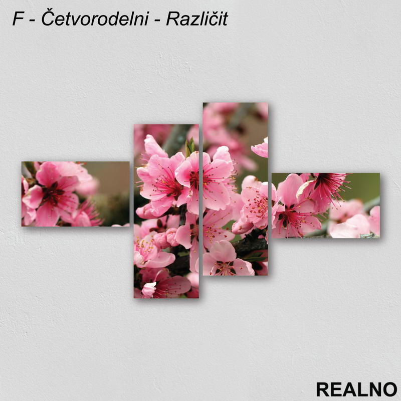 Roze cveće - Slika na platnu - Kanvas