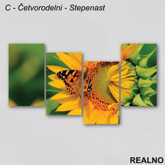 Šareni leptir na cvetu suncokreta - Slika na platnu - Kanvas
