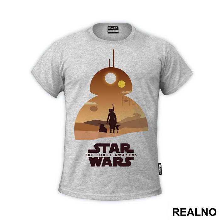 BB-8 And Ray Walking Together - Star Wars