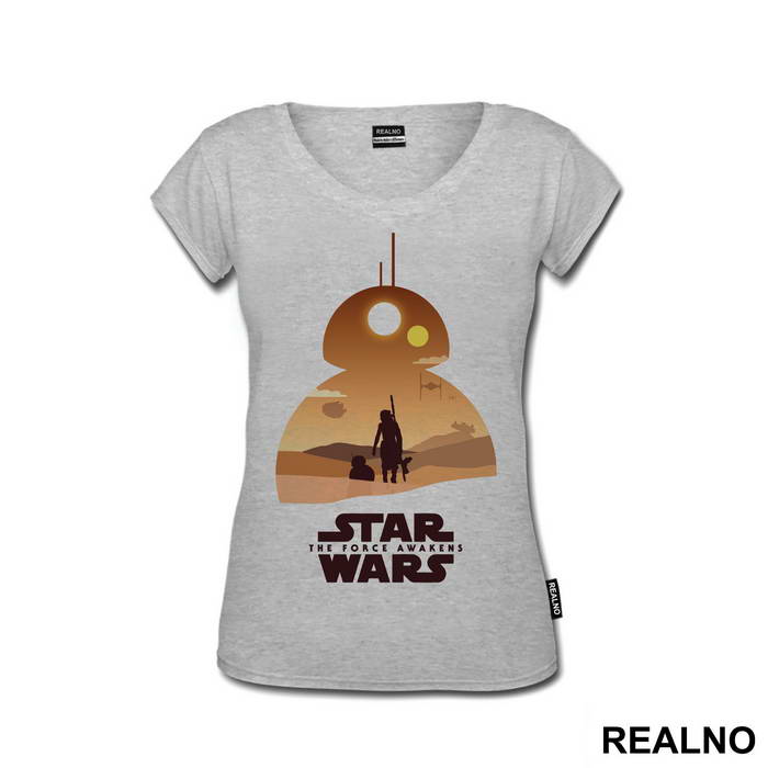 BB-8 And Ray Walking Together - Star Wars