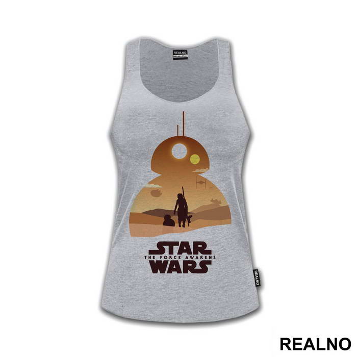 BB-8 And Ray Walking Together - Star Wars