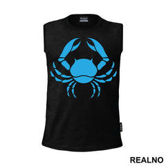 Zodiac - Colorful - Cancer - Rak - Horoskop