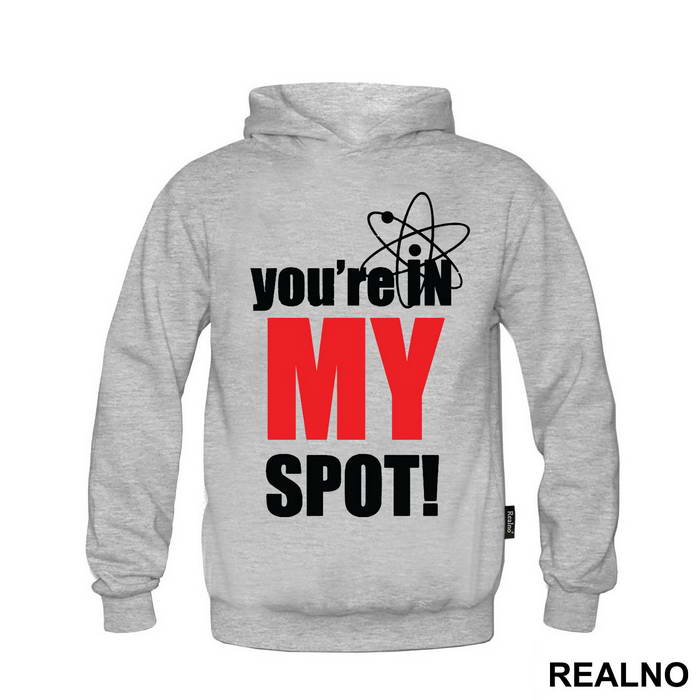 You Are In My Spot - With Atom - The Big Bang Theory - TBBT