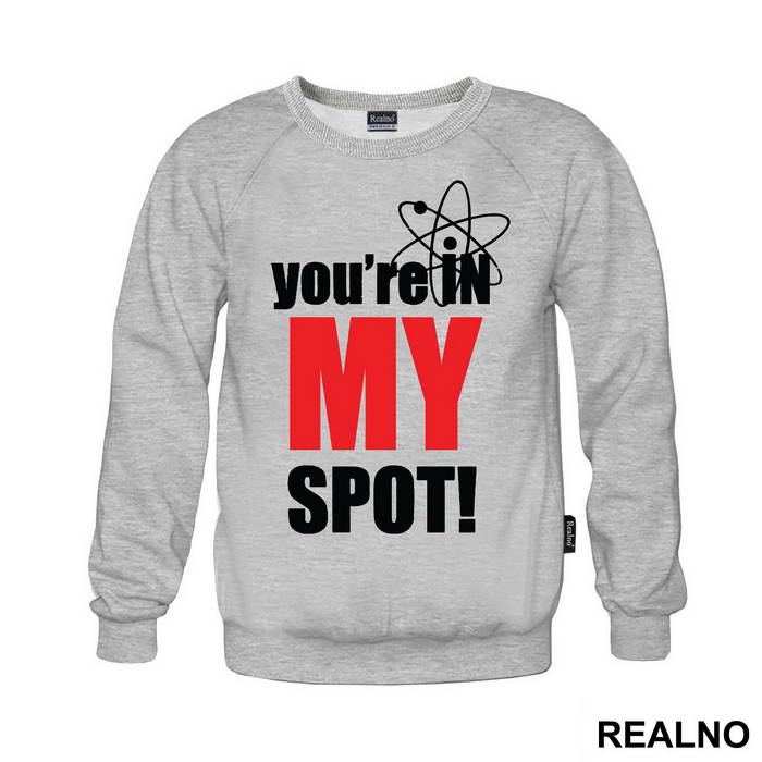 You Are In My Spot - With Atom - The Big Bang Theory - TBBT