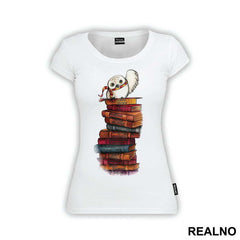 Owl On A Stack Of Books - Harry Potter