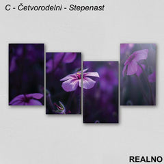 Ljubičasto Cveće - Slika na platnu - Kanvas