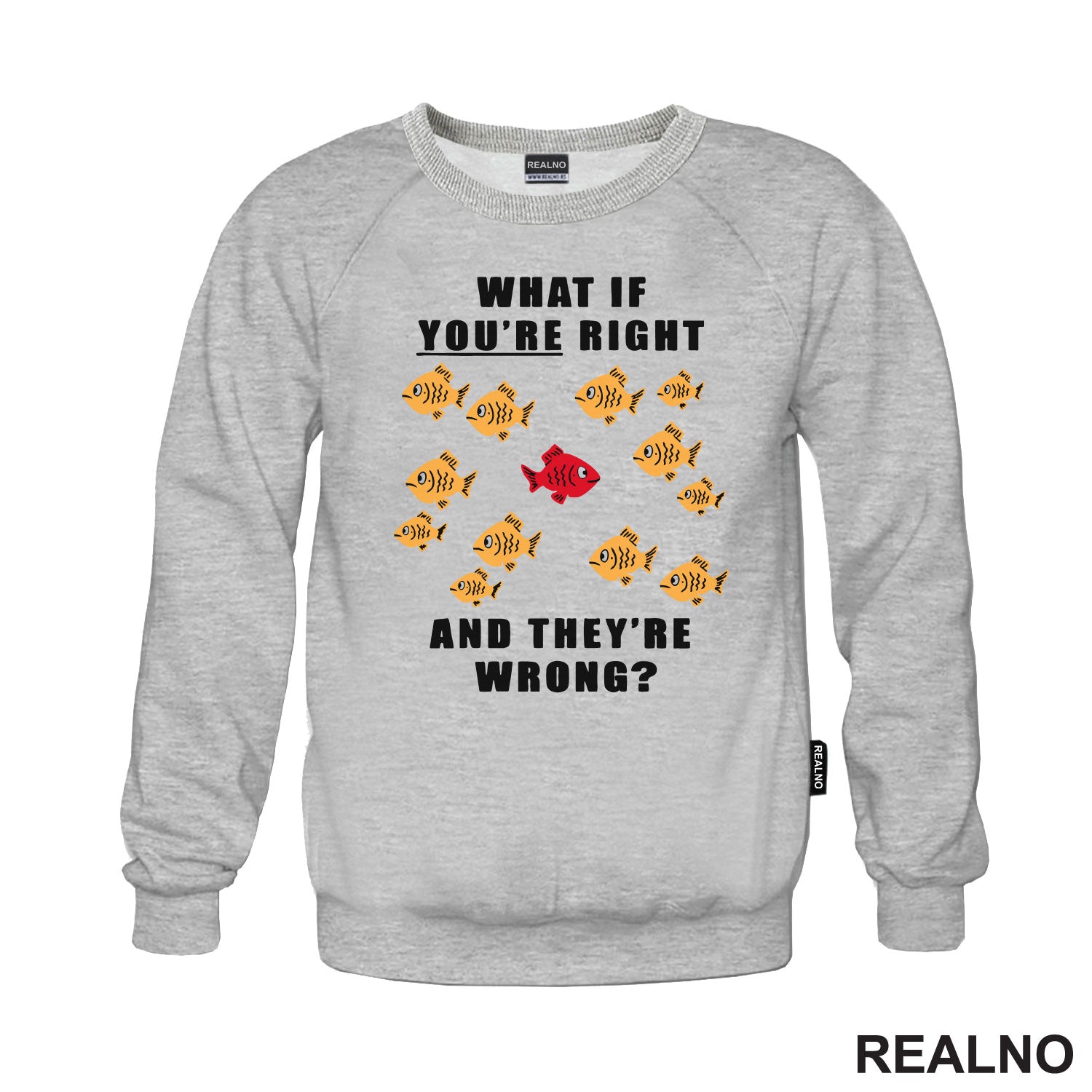 Fishes - What If You're Right And They're Wrong - Fargo