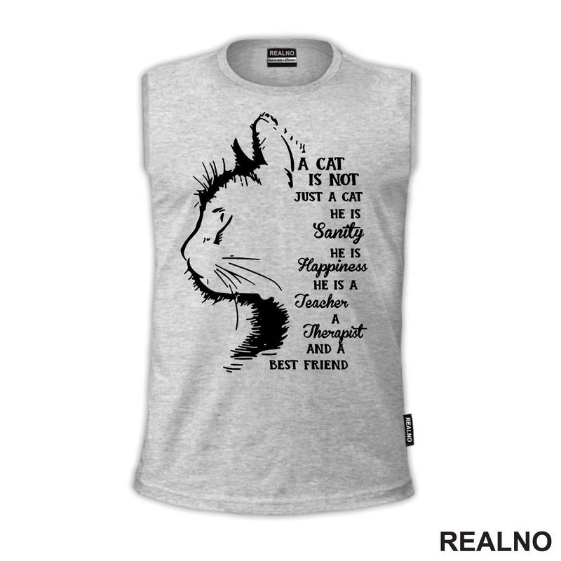 A Cat Is Not Just A Cat. He Is Sanity, He Is Happiness, He Is A Teacher, A Therapist And A Best Friend - Mačke - Cat
