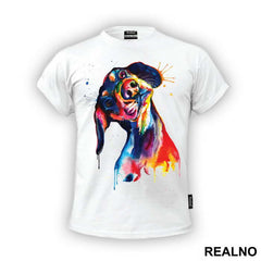 Wiener Dog Splash Painting - Životinje