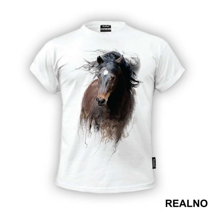 Horse Running - Životinje