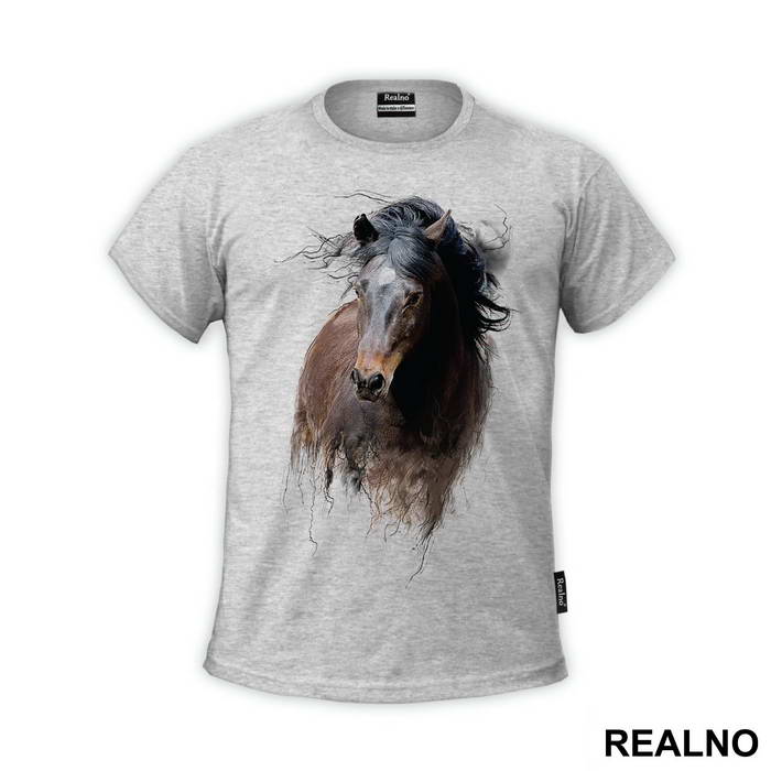 Horse Running - Životinje
