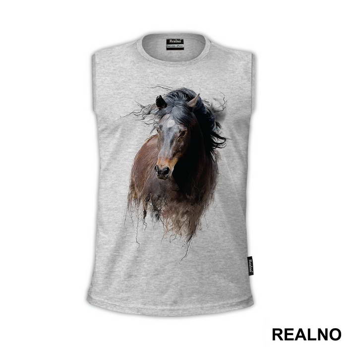 Horse Running - Životinje