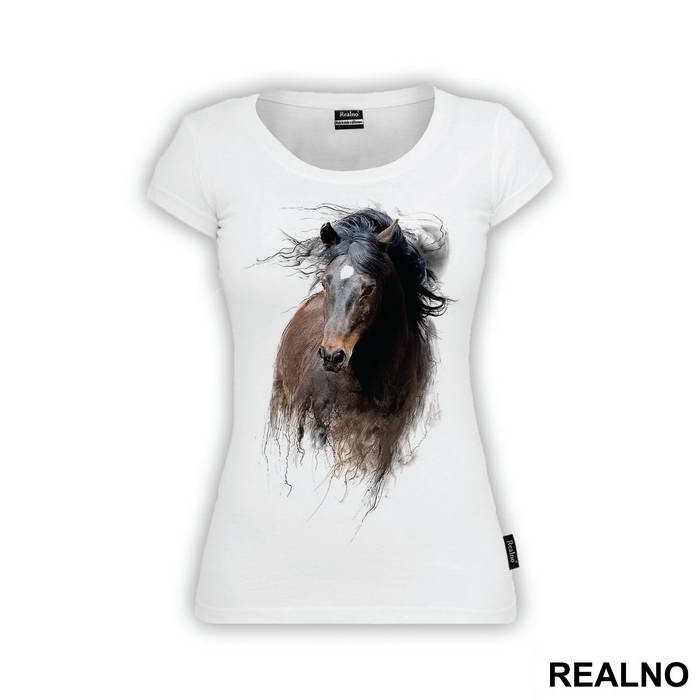 Horse Running - Životinje