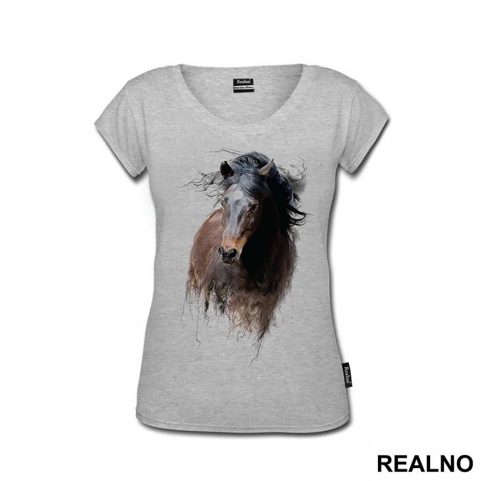 Horse Running - Životinje