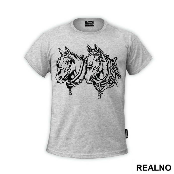 Two Horses Portrait - Životinje
