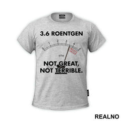 Geiger Counter - Not Great, Not Terrible - Power Plant - Chernobyl