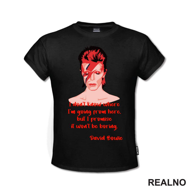 I Don't Know Where I'm Going From Here, But I Promise it Won't Be Boring. David Bowie - Muzika