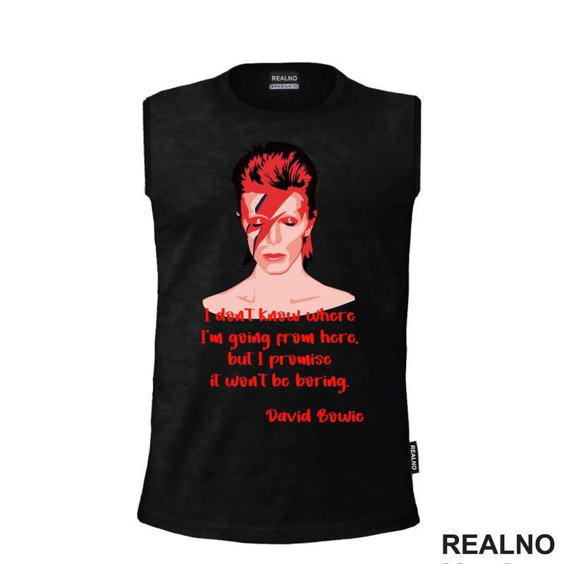 I Don't Know Where I'm Going From Here, But I Promise it Won't Be Boring. David Bowie - Muzika
