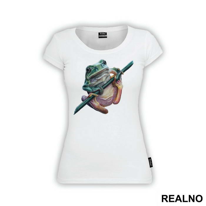 Frog Hang In There - Životinje