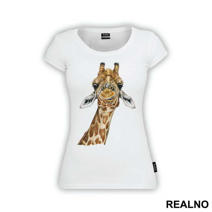 Giraffe Head - Životinje