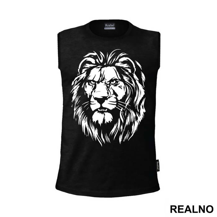 Lion Head Portrait - Životinje