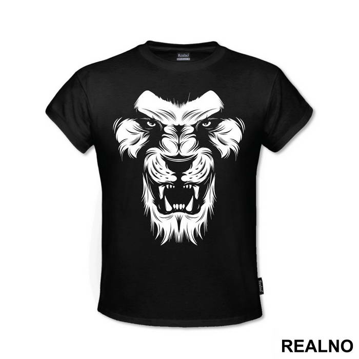 Lions Face - Životinje