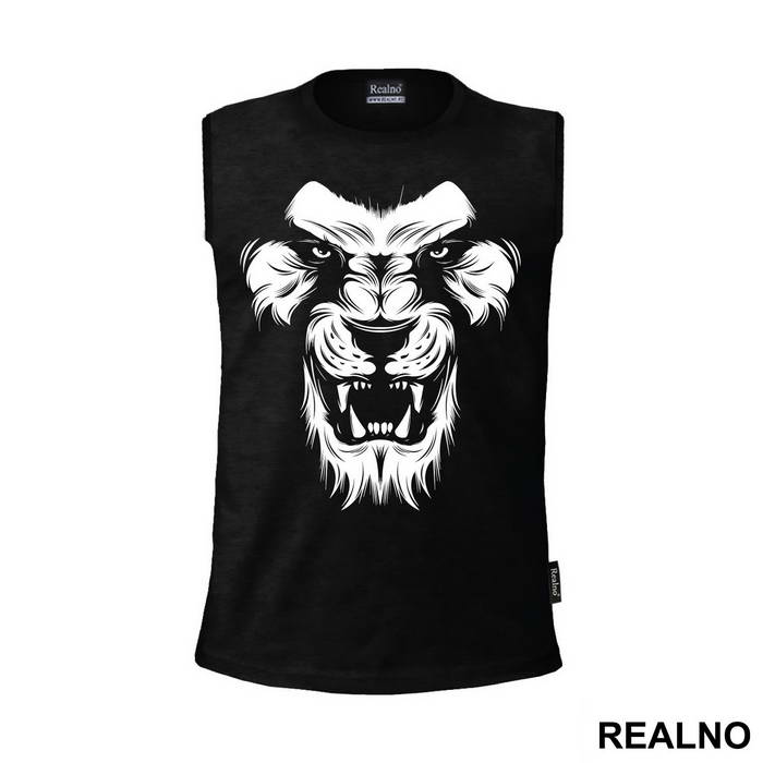 Lions Face - Životinje