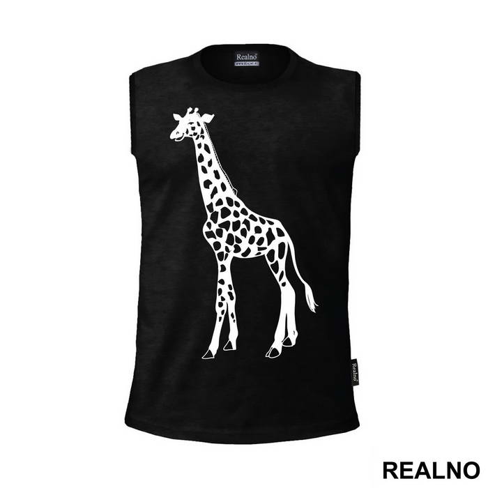 Giraffe - Životinje