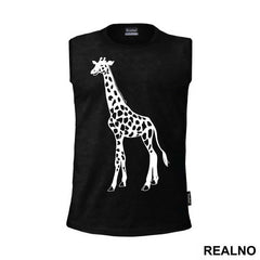 Giraffe - Životinje