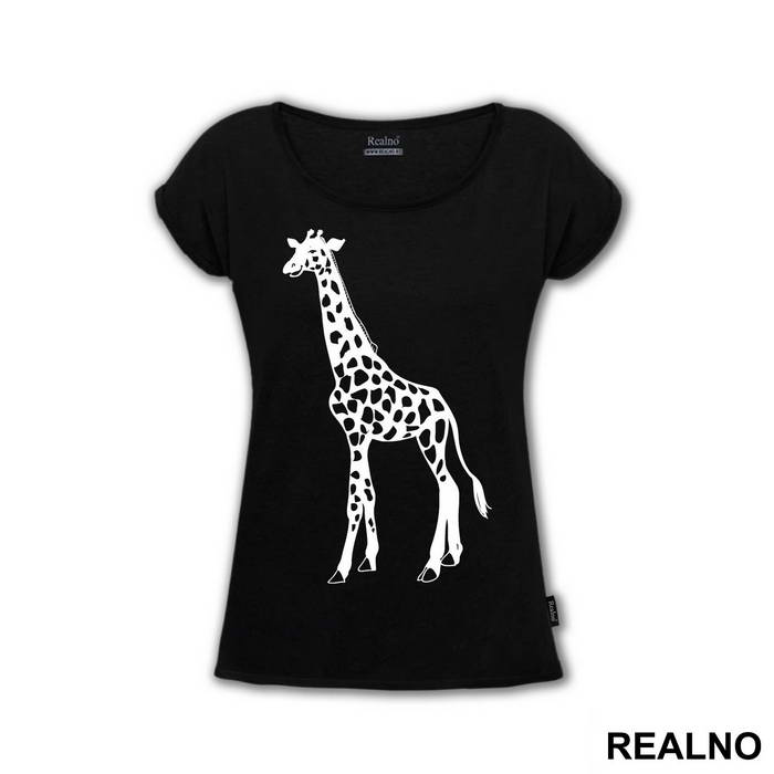 Giraffe - Životinje