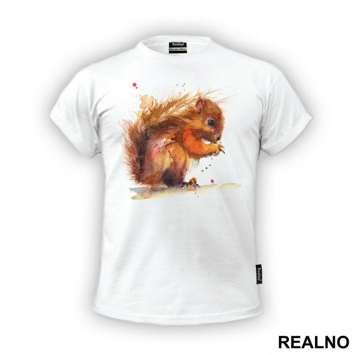Squirrel Painting - Životinje