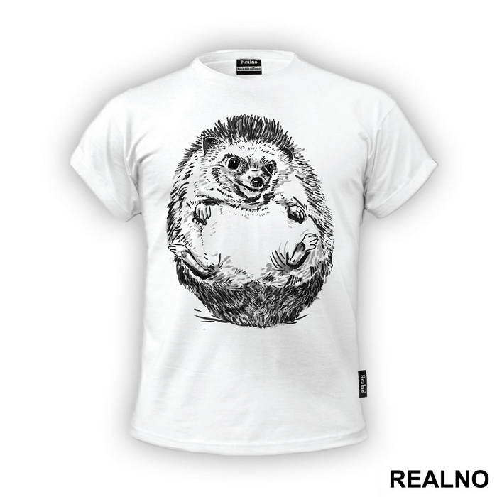 Hedgehog Illustration - Životinje