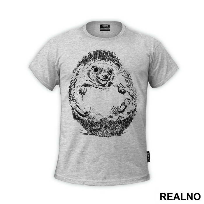 Hedgehog Illustration - Životinje