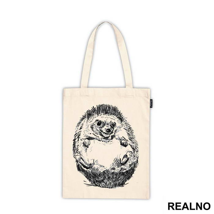 Hedgehog Illustration - Životinje