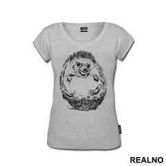 Hedgehog Illustration - Životinje
