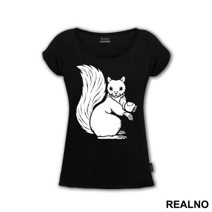 Squirl Illustration - Životinje