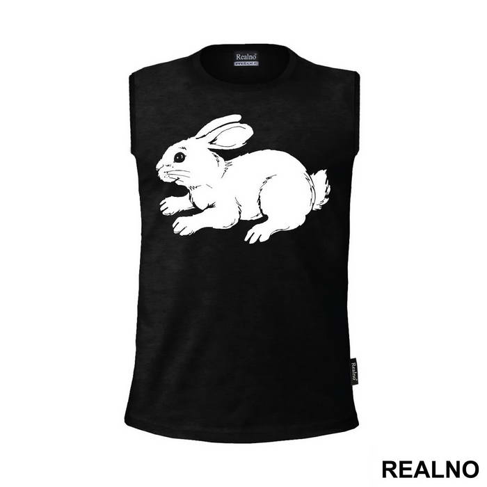 Rabbit Illustration - Životinje