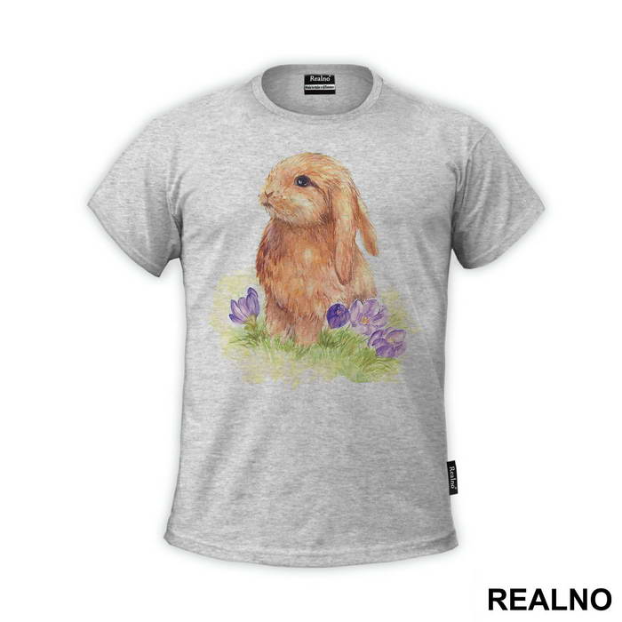 Rabbit Drawing - Životinje