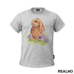 Rabbit Drawing - Životinje