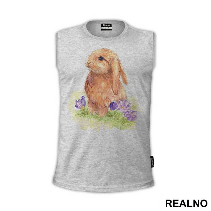 Rabbit Drawing - Životinje