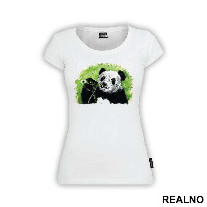 Panda Portrait - Životinje