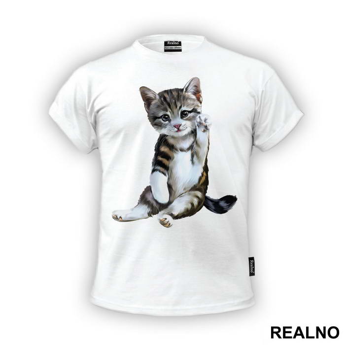 Cute Kitten - Životinje