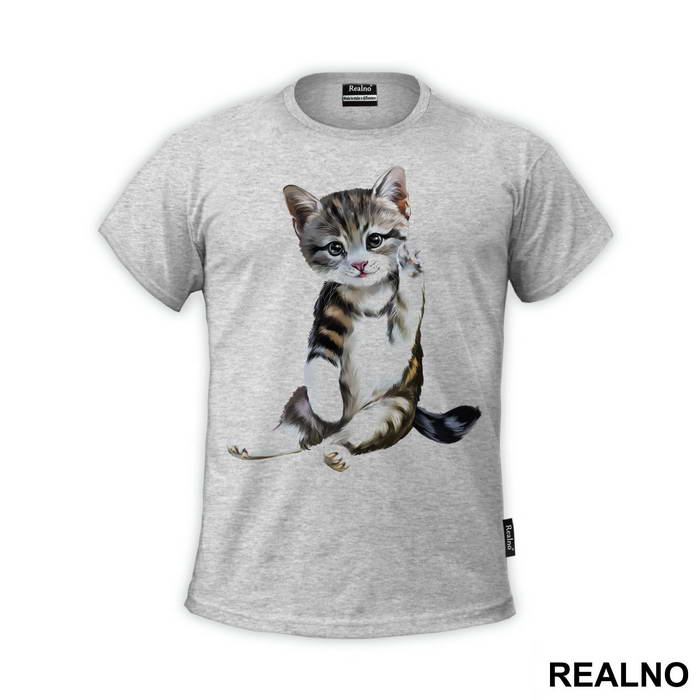Cute Kitten - Životinje
